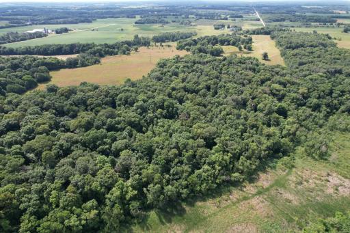 dji_fly_20260710_105814_980_1783699301836_photo.jpg
