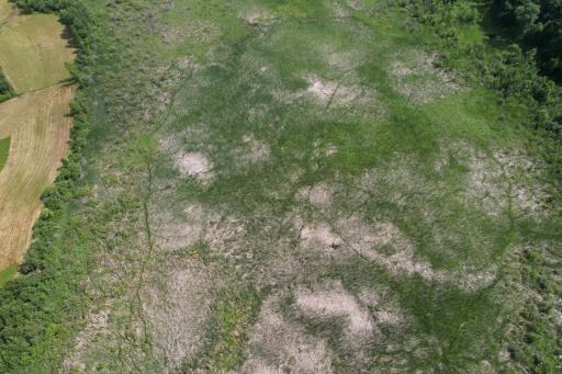 dji_fly_20260710_105940_987_1783699286927_photo.jpg