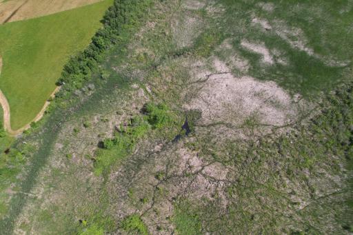 dji_fly_20260710_105934_986_1783699289182_photo.jpg