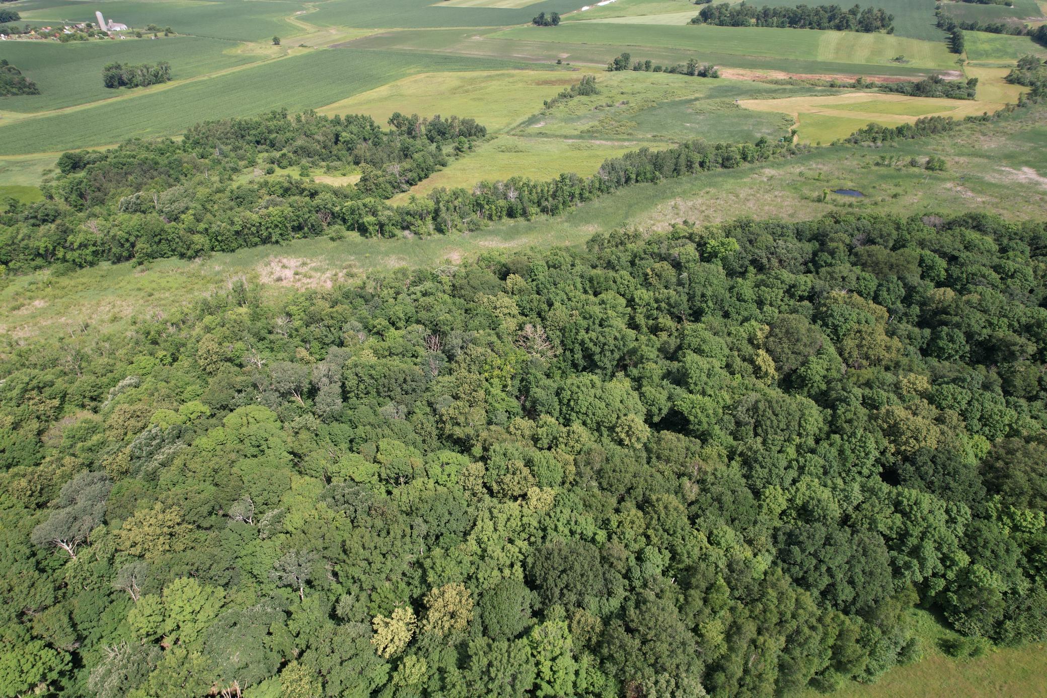 dji_fly_20260710_105904_982_1783699297495_photo.jpg