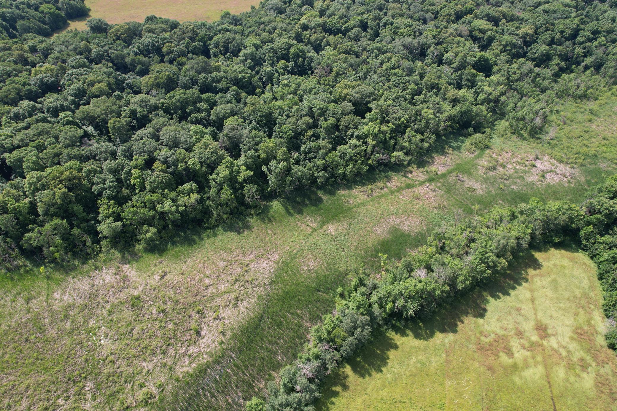 dji_fly_20260710_105812_979_1783699304128_photo.jpg