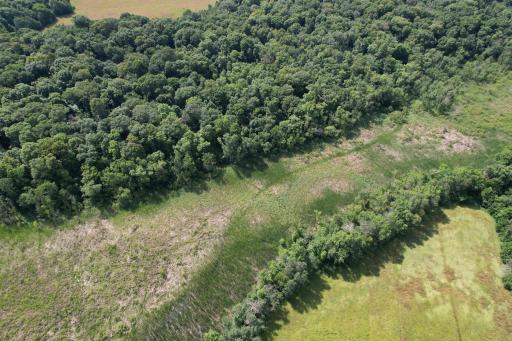 dji_fly_20260710_105812_979_1783699304128_photo.jpg