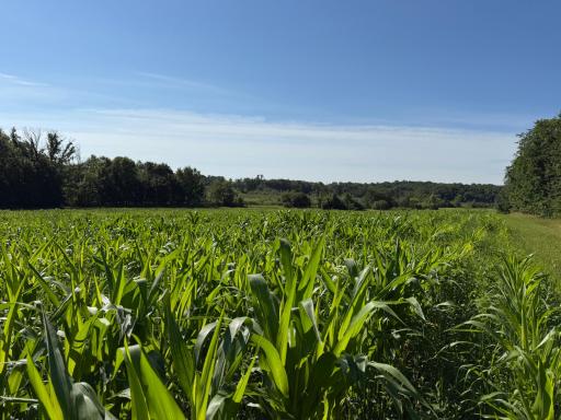 TBD 215th Avenue, Long Prairie, MN 56347