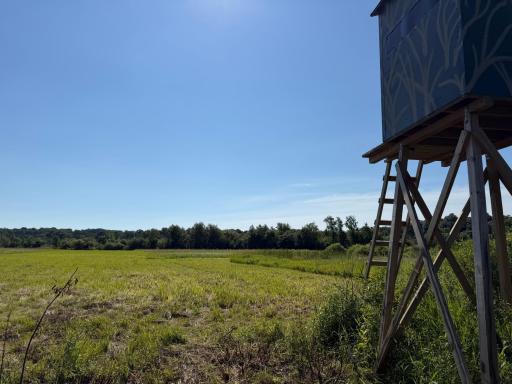 TBD 215th Avenue, Long Prairie, MN 56347