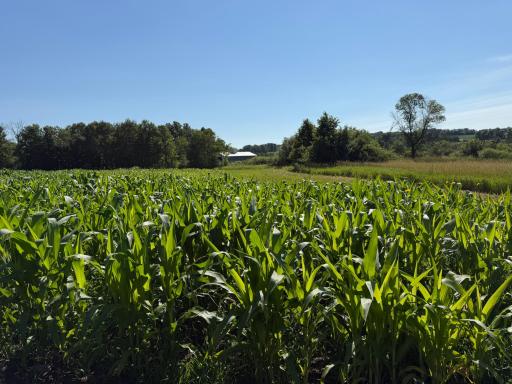 TBD 215th Avenue, Long Prairie, MN 56347