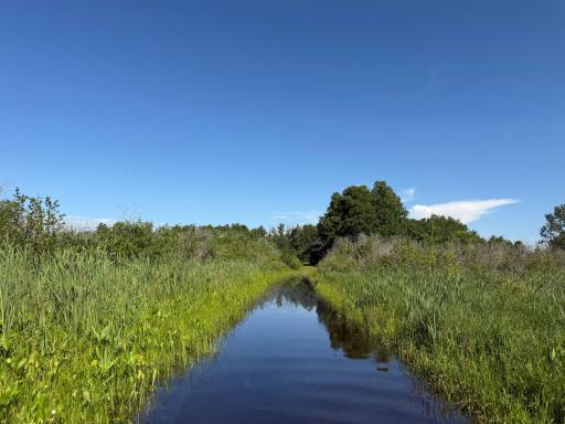 TBD 215th Avenue, Long Prairie, MN 56347