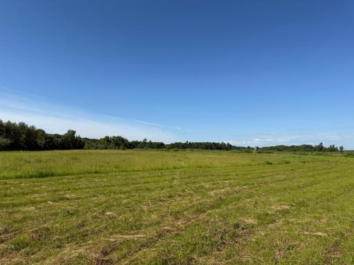 TBD 215th Avenue, Long Prairie, MN 56347