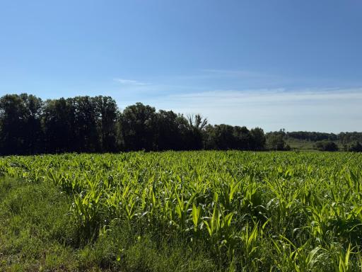 TBD 215th Avenue, Long Prairie, MN 56347