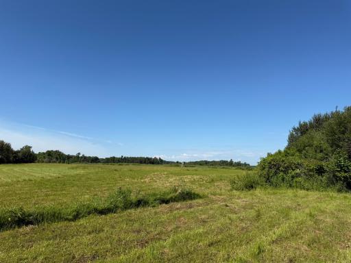 TBD 215th Avenue, Long Prairie, MN 56347