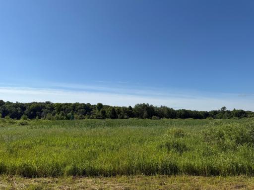 TBD 215th Avenue, Long Prairie, MN 56347