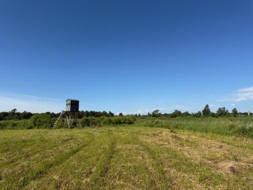 TBD 215th Avenue, Long Prairie, MN 56347