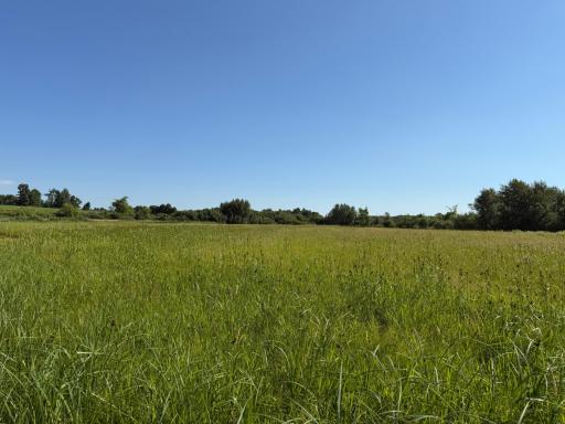 TBD 215th Avenue, Long Prairie, MN 56347
