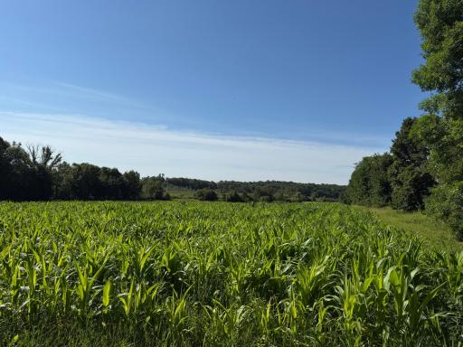 TBD 215th Avenue, Long Prairie, MN 56347