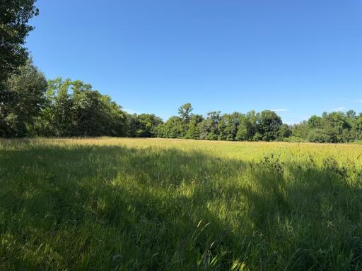 TBD 215th Avenue, Long Prairie, MN 56347