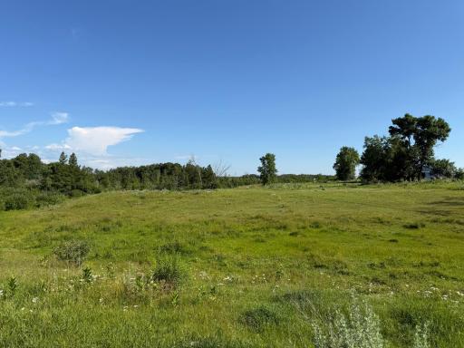 TBD 215th Avenue, Long Prairie, MN 56347