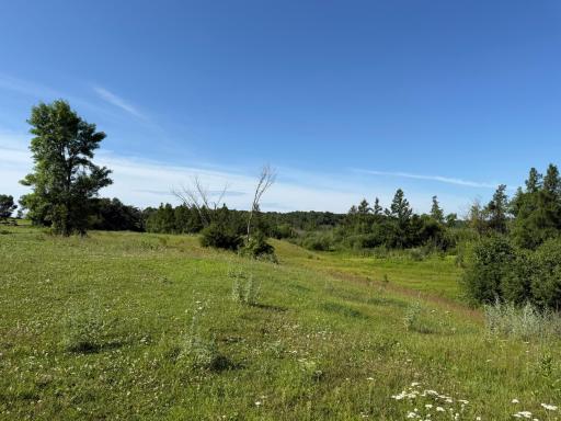 TBD 215th Avenue, Long Prairie, MN 56347