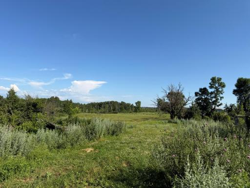TBD 215th Avenue, Long Prairie, MN 56347