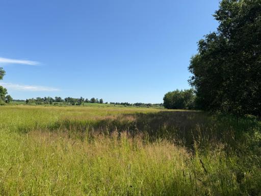 TBD 215th Avenue, Long Prairie, MN 56347