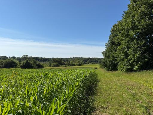 TBD 215th Avenue, Long Prairie, MN 56347