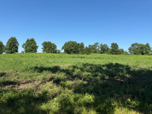 TBD 215th Avenue, Long Prairie, MN 56347
