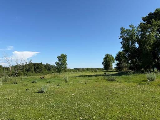 TBD 215th Avenue, Long Prairie, MN 56347