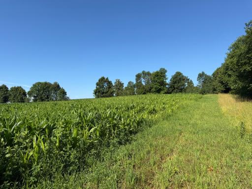 TBD 215th Avenue, Long Prairie, MN 56347