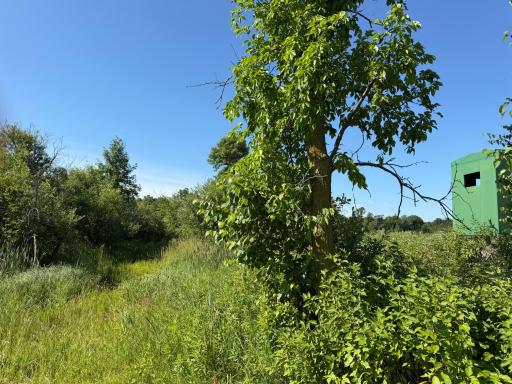 TBD 215th Avenue, Long Prairie, MN 56347