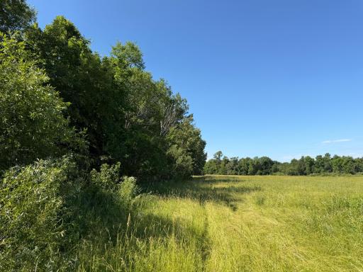 TBD 215th Avenue, Long Prairie, MN 56347