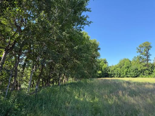 TBD 215th Avenue, Long Prairie, MN 56347
