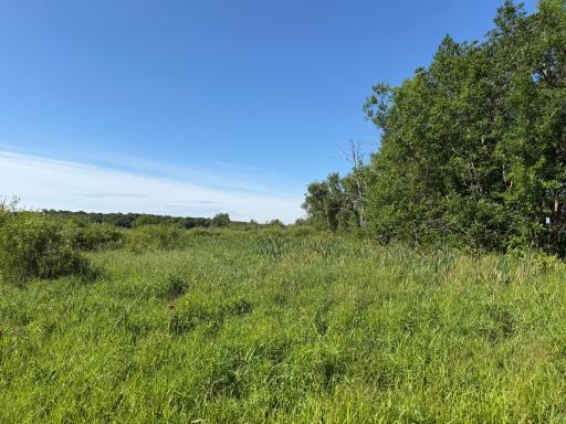 TBD 215th Avenue, Long Prairie, MN 56347