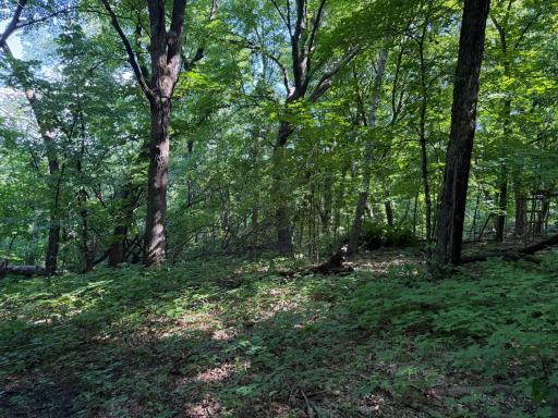 TBD 215th Avenue, Long Prairie, MN 56347