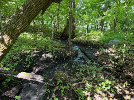 TBD 215th Avenue, Long Prairie, MN 56347