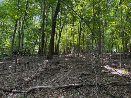 TBD 215th Avenue, Long Prairie, MN 56347
