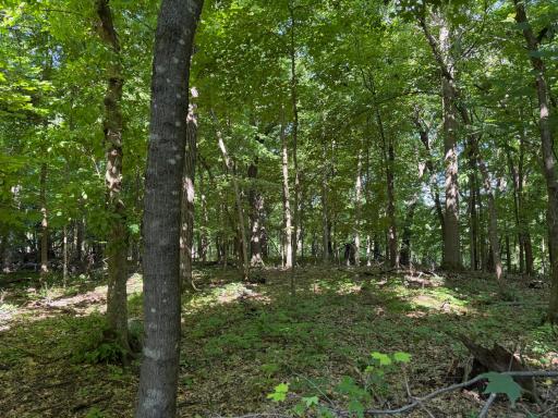 TBD 215th Avenue, Long Prairie, MN 56347