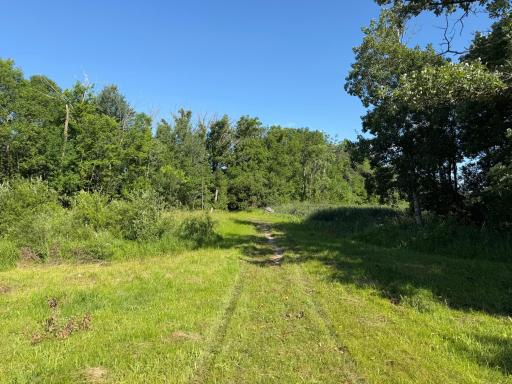 TBD 215th Avenue, Long Prairie, MN 56347