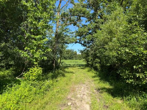 TBD 215th Avenue, Long Prairie, MN 56347