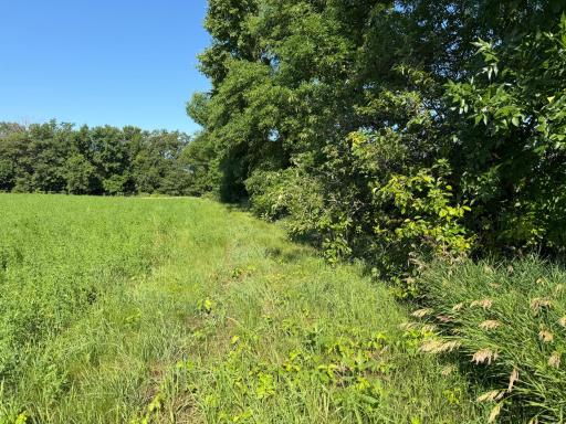 TBD 215th Avenue, Long Prairie, MN 56347