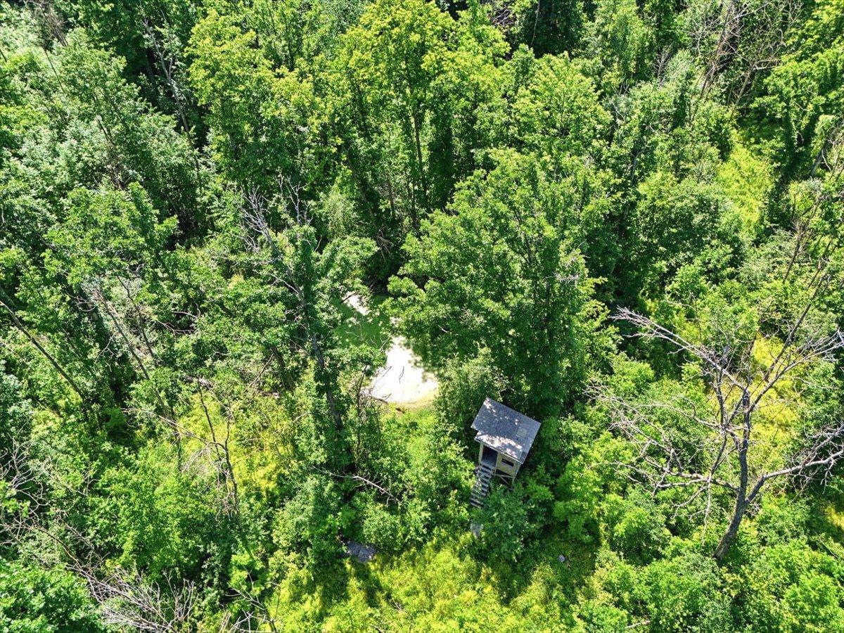 Pond and deer stand