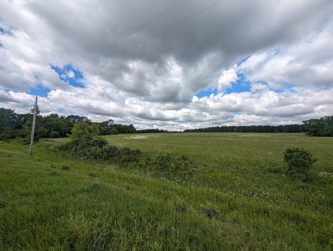 Lot 4