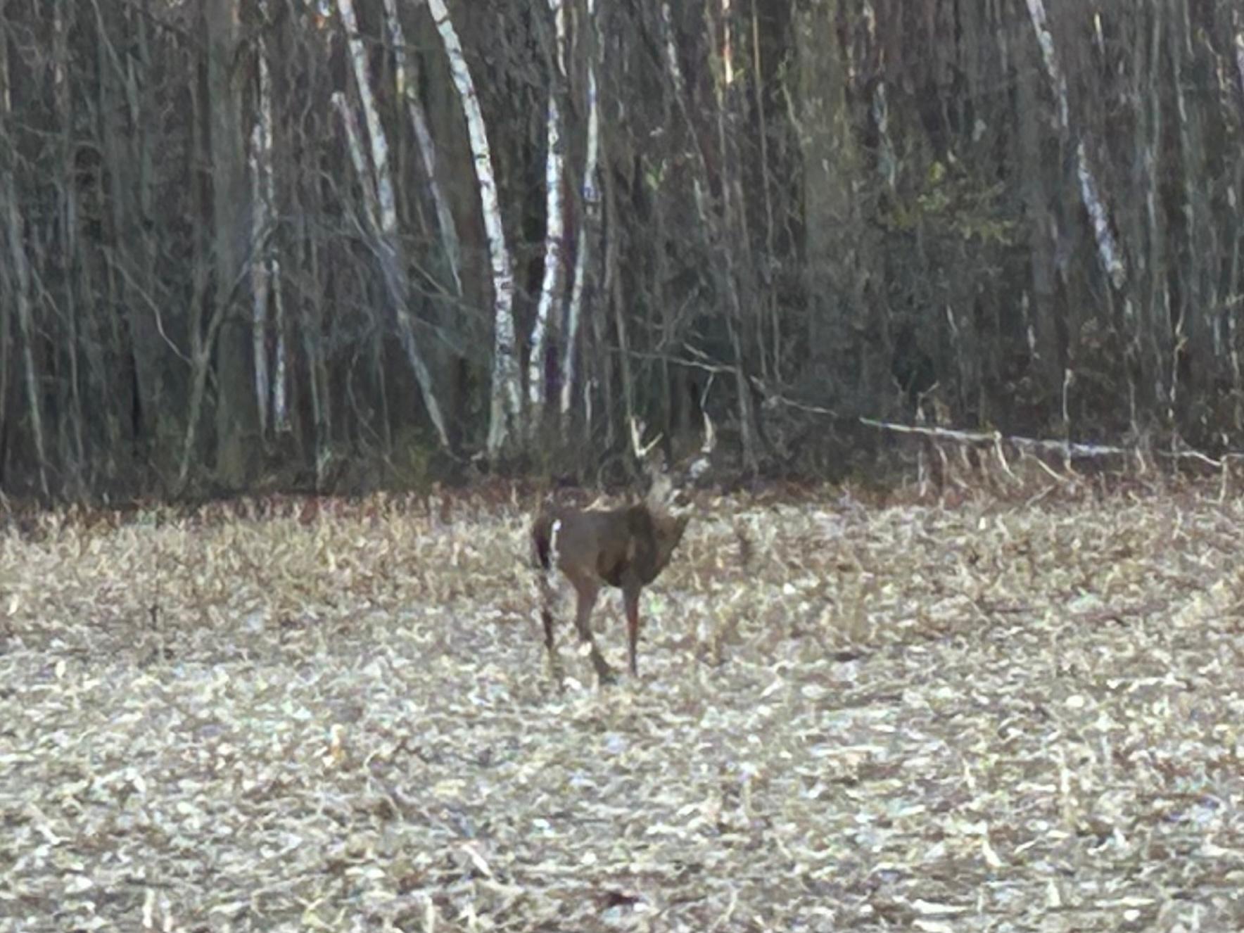 Big bucks!