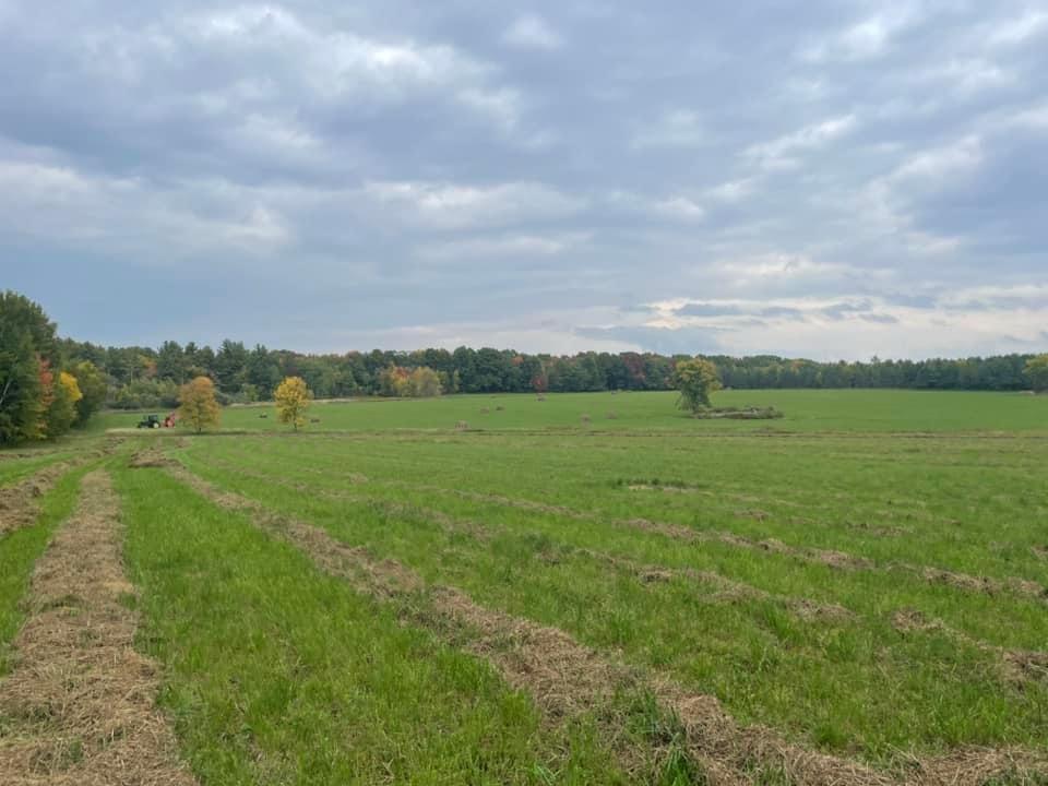 Lot 4