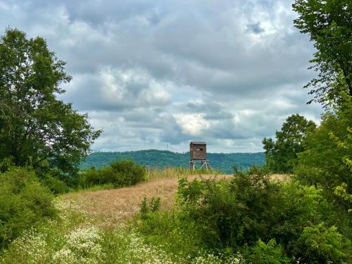 TBD89 County 13, Houston, MN 55943