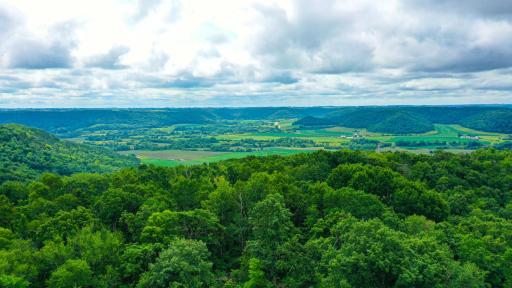 DJI_0145.jpg