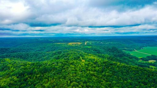 DJI_0151.jpg
