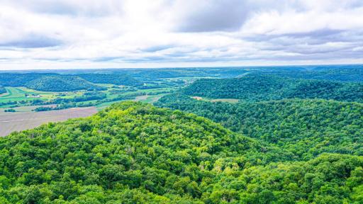 DJI_0146.jpg