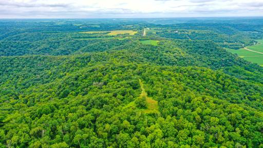 DJI_0149.jpg