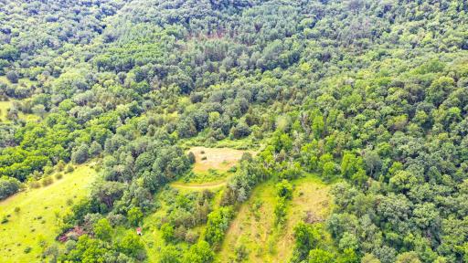 DJI_0158.jpg