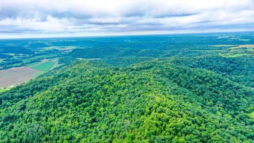 DJI_0162.jpg