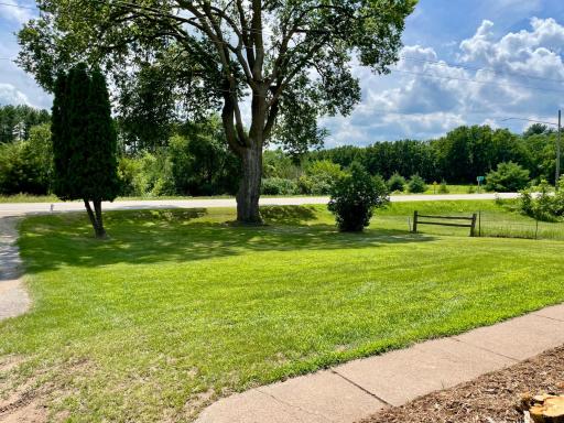 Front Yard View