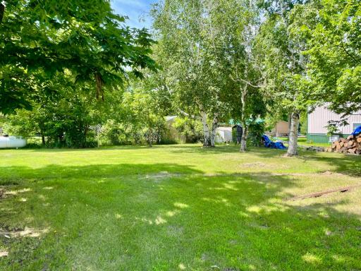Private Back Yard